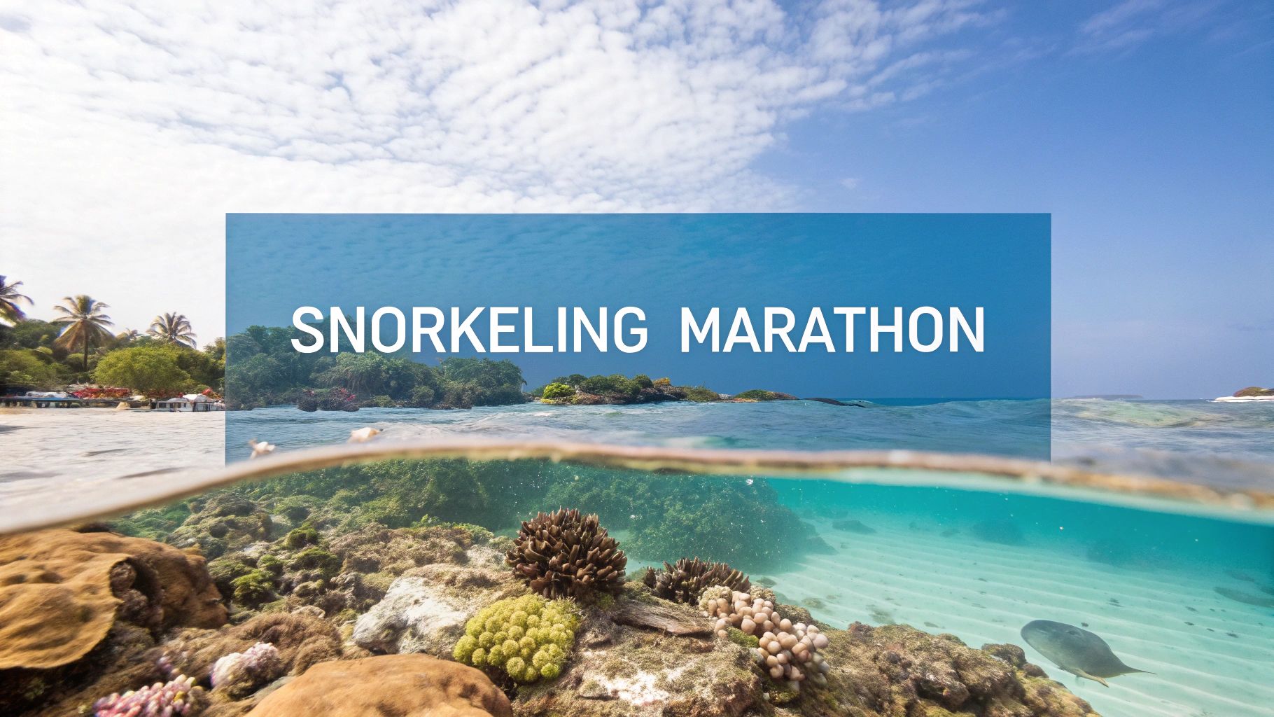Snorkeling Marathon: Explore Florida's Underwater Gems - Marathon ...