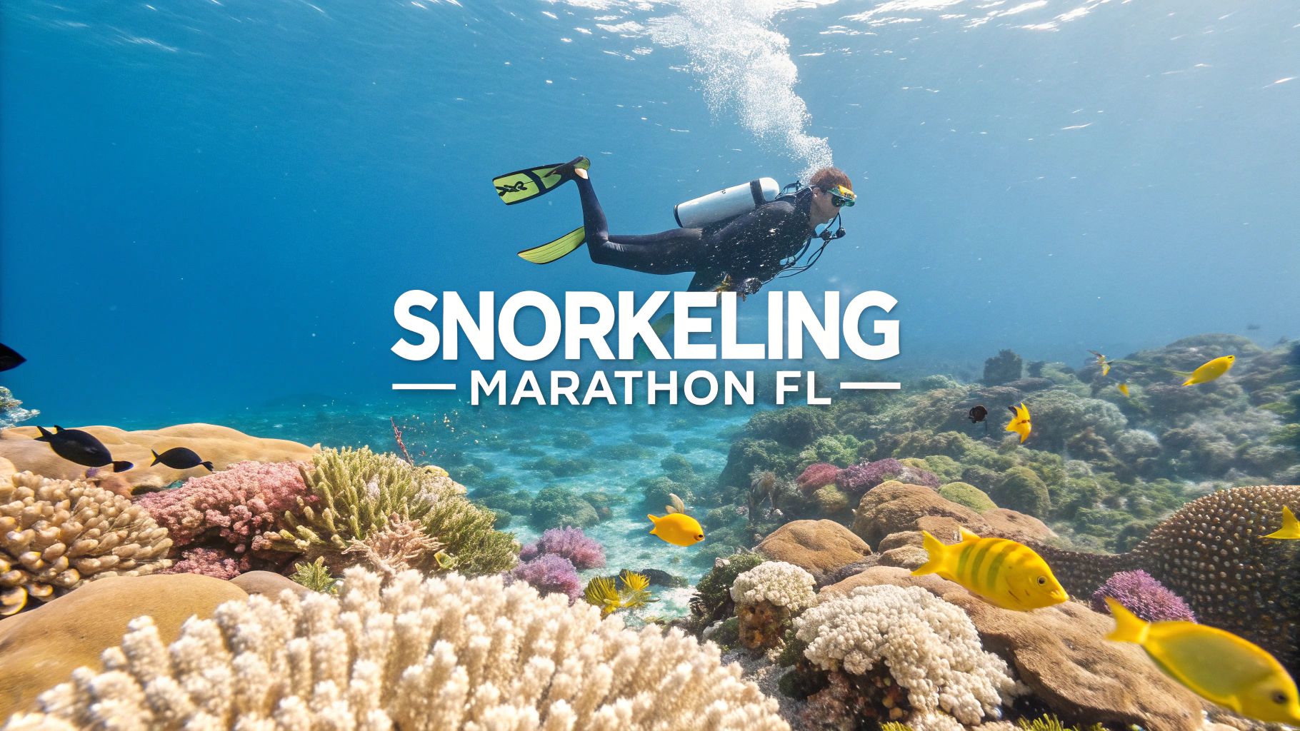 Top 6 Snorkeling Marathon FL Spots in 2025 - Marathon Snorkeling ...