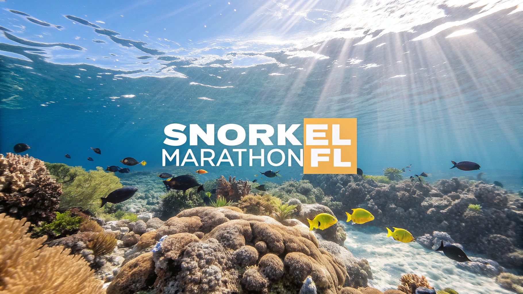 Snorkeling Marathon FL: Ultimate Guide to Marine Adventures - Marathon ...